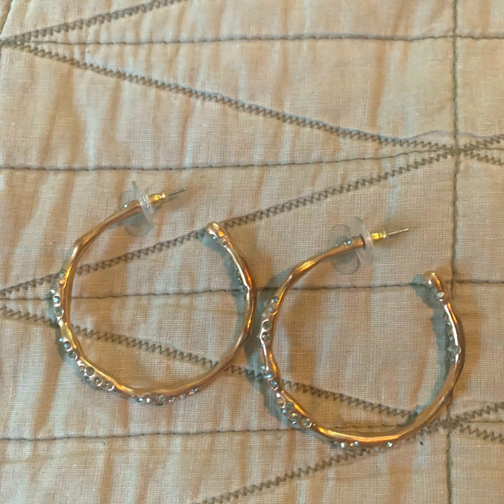 Alexis Bittar Earrings